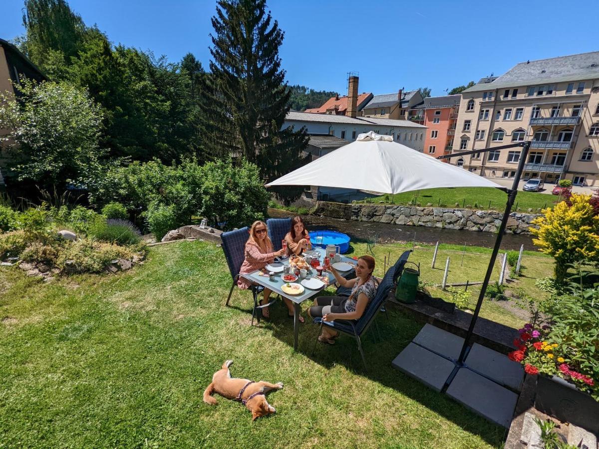 Lichtdurchflutete Helle Wohnung Mit Garten Sauna & Pool - Hw3 Sebnitz Exterior photo